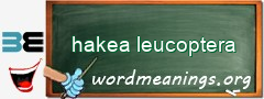 WordMeaning blackboard for hakea leucoptera